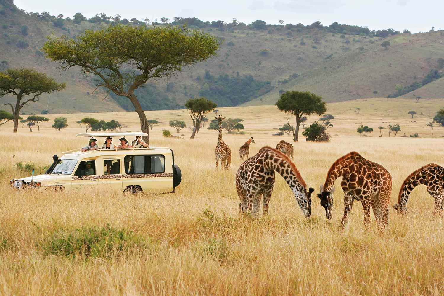 the Safari squad