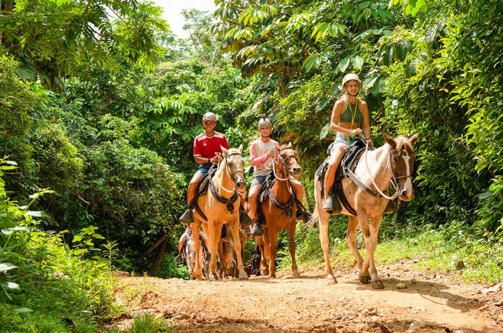 Four riders in helmets on horseback on a dirt trail through dense green jungle