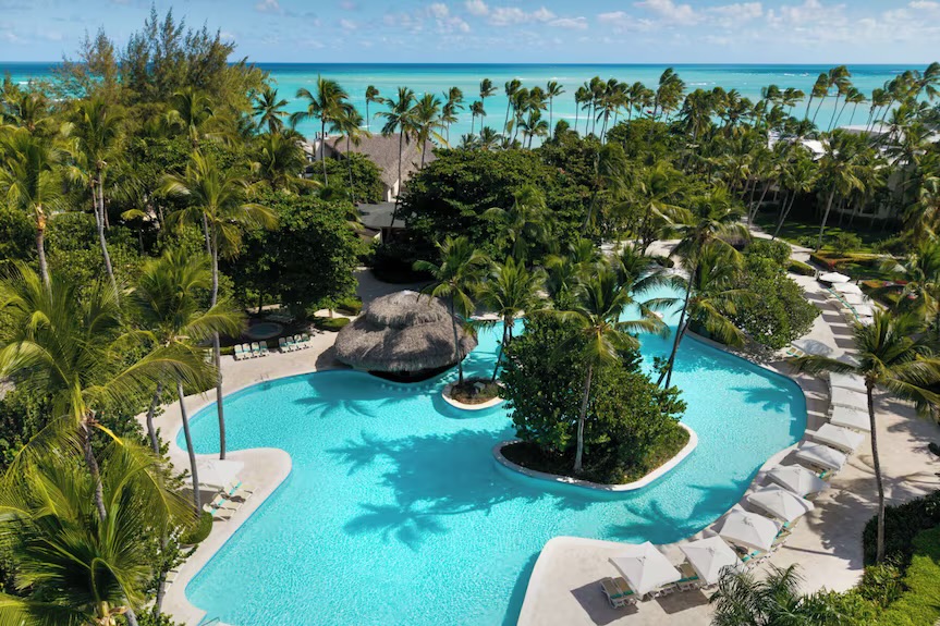 The resort pool seen from above, curving between palm trees and rows of sun loungers, with a thatched bar in the middle and the sea beyond