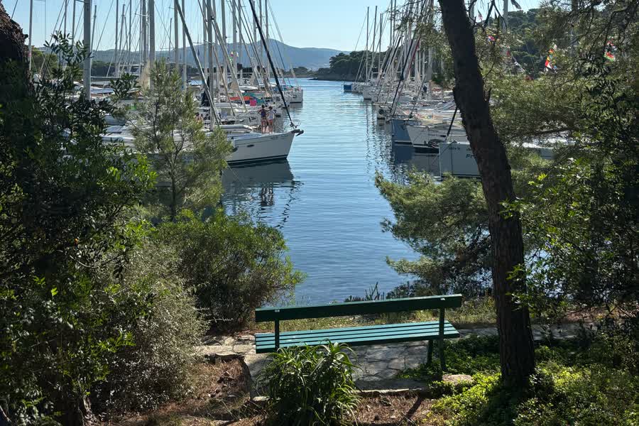 A bench under pine trees looking down over the moored fleet